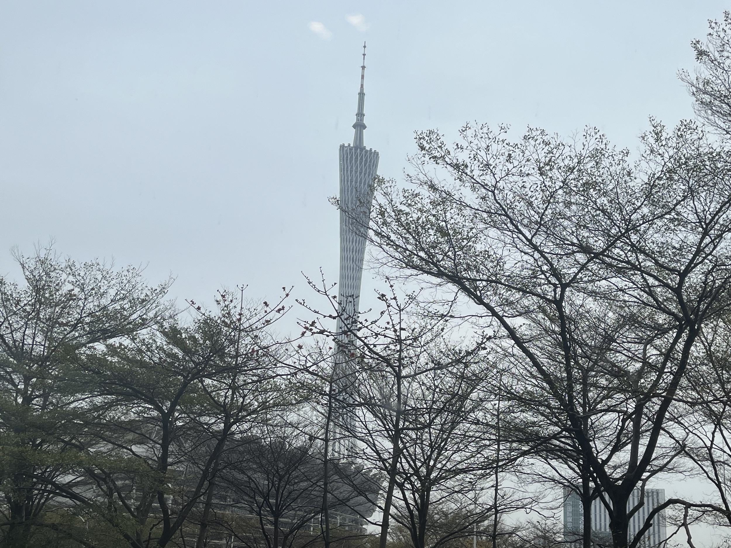 下午的小蛮腰